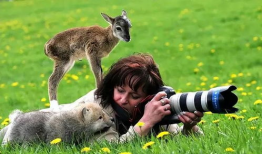 动物视频,捕捉自然之美瞬间